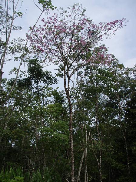 Colombia 2012 (137).JPG